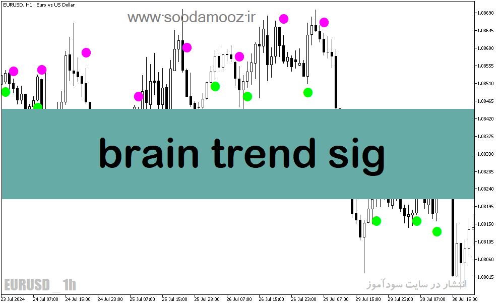 خرید و دانلود دانلود بهترین اندیکاتور برای سیگنال خرید در متاتریدر5 با نام brain trend sig_68e1f321e737f.png خرید و دانلود دانلود بهترین اندیکاتور برای سیگنال خرید در متاتریدر5 با نام brain trend sig