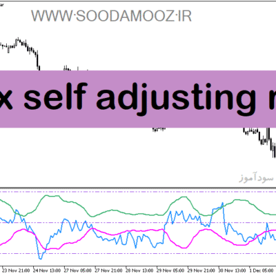 خرید و دانلود دانلود نرم افزار اندیکاتور rsi برای متاتریدر5 با نام fx self adjusting rsi
