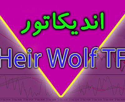 خرید و دانلود [ غیر فعال شده است ] اندیکاتور Heir Wolf TF متاتریدر 4
