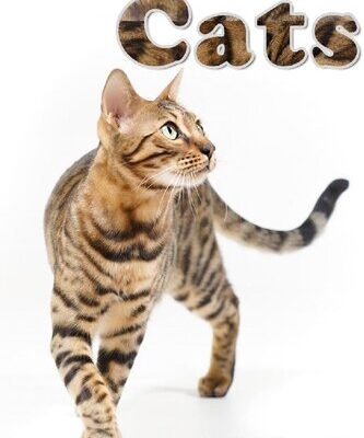 خرید و دانلود نسخه کامل کتاب 101 Amazing Facts About Cats