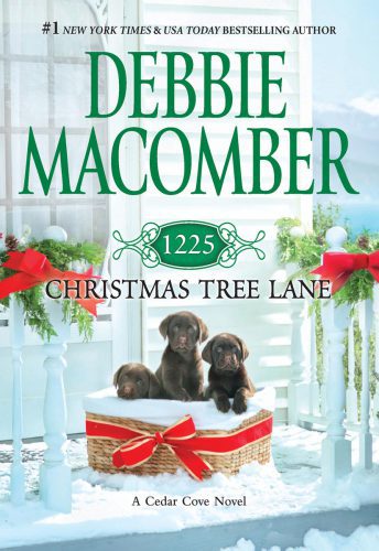 خرید و دانلود نسخه کامل کتاب 1225 Christmas Tree Lane_68edab853bbc3.jpeg خرید و دانلود نسخه کامل کتاب 1225 Christmas Tree Lane