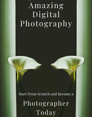 خرید و دانلود نسخه کامل کتاب A Beginner´s Guide to Amazing Digital Photography: Start From Scratch and Become a Photographer Today
