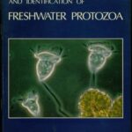 خرید و دانلود نسخه کامل کتاب A beginner’s guide to the collection, isolation, cultivation and identification of freshwater Protozoa