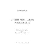 خرید و دانلود نسخه کامل کتاب A Breeze from Alabama