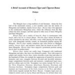 خرید و دانلود نسخه کامل کتاب A brief account of bensen ülger and ülgeren bense