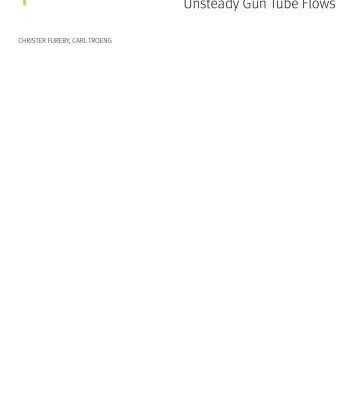 خرید و دانلود نسخه کامل کتاب A computational study of unsteady gun tube flows