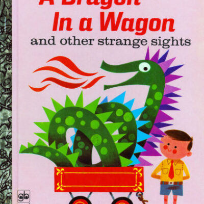 خرید و دانلود نسخه کامل کتاب A Dragon in a Wagon and Other Strange Sights