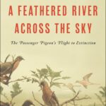 خرید و دانلود نسخه کامل کتاب A Feathered River Across the Sky