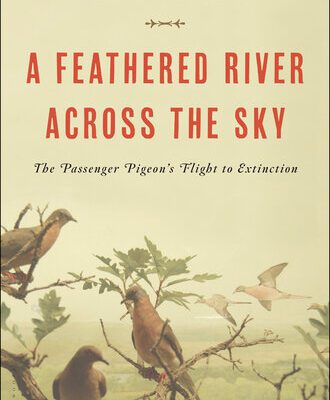 خرید و دانلود نسخه کامل کتاب A Feathered River Across the Sky