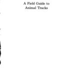 خرید و دانلود نسخه کامل کتاب A Field Guide to Animal Tracks