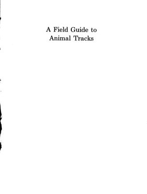 خرید و دانلود نسخه کامل کتاب A Field Guide to Animal Tracks
