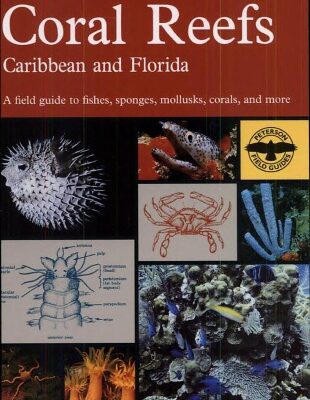خرید و دانلود نسخه کامل کتاب A field guide to coral reefs of the Caribbean and Florida : a guide to the common invertebrates and fishes of Bermuda, the Bahamas, southern Florida, the West Indies, and the Caribbean coast of Central and South America