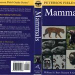 خرید و دانلود نسخه کامل کتاب A Field Guide to Mammals: North America north of Mexico