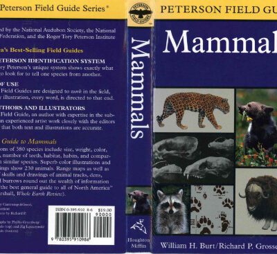 خرید و دانلود نسخه کامل کتاب A Field Guide to Mammals: North America north of Mexico