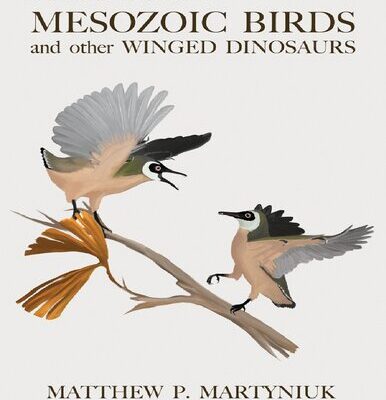 خرید و دانلود نسخه کامل کتاب A Field Guide to Mesozoic Birds and other Winged Dinosaurs