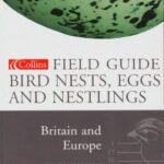 خرید و دانلود نسخه کامل کتاب A Field Guide to the Nests, Eggs and Nestlings of British and European Birds
