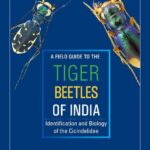 خرید و دانلود نسخه کامل کتاب A field guide to the tiger beetles of India. Identification and biology of the Cicindelidae