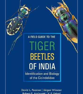 خرید و دانلود نسخه کامل کتاب A field guide to the tiger beetles of India. Identification and biology of the Cicindelidae