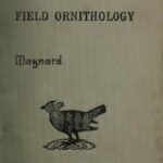 خرید و دانلود نسخه کامل کتاب A field ornithology of the birds of eastern North America