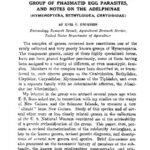 خرید و دانلود نسخه کامل کتاب A generic review of the Amiseginae, a group of phasmatid egg parasites, and notes on the Adelphinae (Hymenoptera, Bethyloidea, Chrysididae)