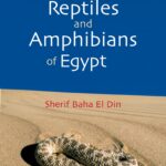 خرید و دانلود نسخه کامل کتاب A Guide to Reptiles and Amphibians of Egypt