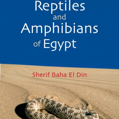 خرید و دانلود نسخه کامل کتاب A Guide to Reptiles and Amphibians of Egypt