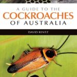 خرید و دانلود نسخه کامل کتاب A Guide to the Cockroaches of Australia [OP]