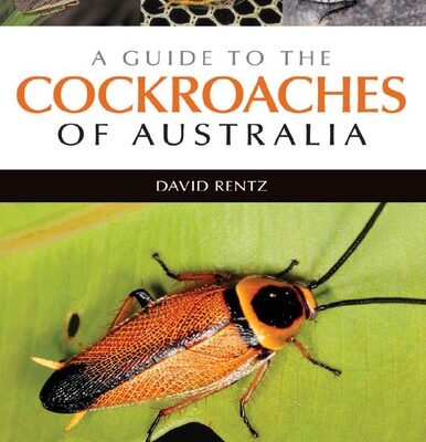 خرید و دانلود نسخه کامل کتاب A Guide to the Cockroaches of Australia [OP]