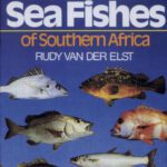 خرید و دانلود نسخه کامل کتاب A guide to the common sea fishes of southern Africa