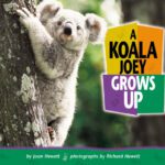 خرید و دانلود نسخه کامل کتاب A Koala Joey Grows Up (Baby Animals)