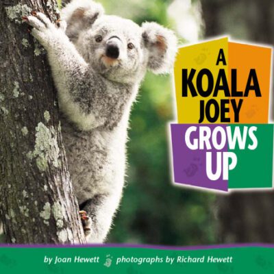 خرید و دانلود نسخه کامل کتاب A Koala Joey Grows Up (Baby Animals)