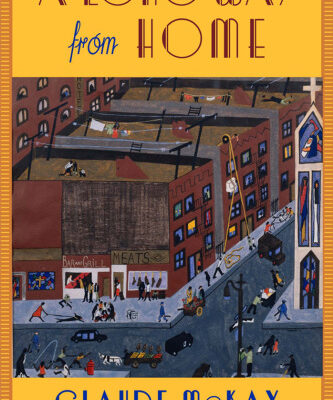 خرید و دانلود نسخه کامل کتاب A Long Way from Home (Multi-Ethnic Literatures of the Americas)