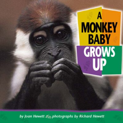 خرید و دانلود نسخه کامل کتاب A Monkey Baby Grows Up (Baby Animals)