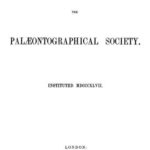 خرید و دانلود نسخه کامل کتاب A Monograph of the Mollusca from the Great Oolite, Chiefly from Minchinhampton and the Coast of Yorkshire, Part I: Univalves