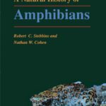 خرید و دانلود نسخه کامل کتاب A Natural History of Amphibians