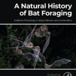 خرید و دانلود نسخه کامل کتاب A natural history of bat foraging. Evolution, physiology, ecology, behavior, and conservation
