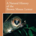 خرید و دانلود نسخه کامل کتاب A Natural History of the Brown Mouse Lemur