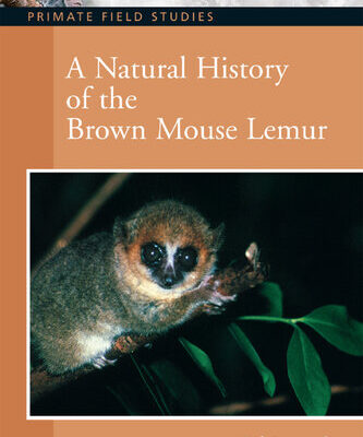 خرید و دانلود نسخه کامل کتاب A Natural History of the Brown Mouse Lemur