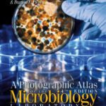 خرید و دانلود نسخه کامل کتاب A photographic atlas for the 4th edition microbiology laboratory