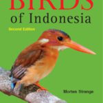 خرید و دانلود نسخه کامل کتاب A Photographic Guide to the Birds of Indonesia: Second Edition