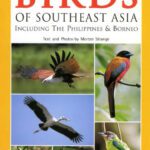 خرید و دانلود نسخه کامل کتاب A Photographic Guide to the Birds of Southeast Asia: Including the Philippines and Borneo