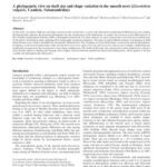 خرید و دانلود نسخه کامل کتاب A phylogenetic view on skull size and shape variation in the smooth newt (Lissotriton vulgaris, Caudata, Salamandridae)