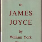 خرید و دانلود نسخه کامل کتاب A Reader’s Guide to James Joyce
