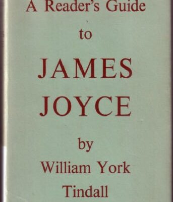 خرید و دانلود نسخه کامل کتاب A Reader’s Guide to James Joyce