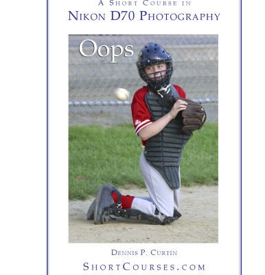 خرید و دانلود نسخه کامل کتاب A Short Course in Nikon D70 Photography