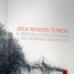 خرید و دانلود نسخه کامل کتاب A Tristeza Extraordinária Do Leopardo-Das-Neves