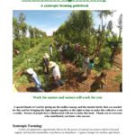 خرید و دانلود نسخه کامل کتاب Abundance Agroforestry