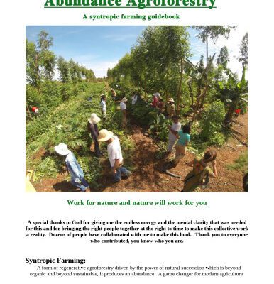 خرید و دانلود نسخه کامل کتاب Abundance Agroforestry