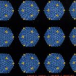 خرید و دانلود نسخه کامل کتاب Adenoviral Vectors for Gene Therapy