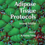 خرید و دانلود نسخه کامل کتاب Adipose Tissue Protocols